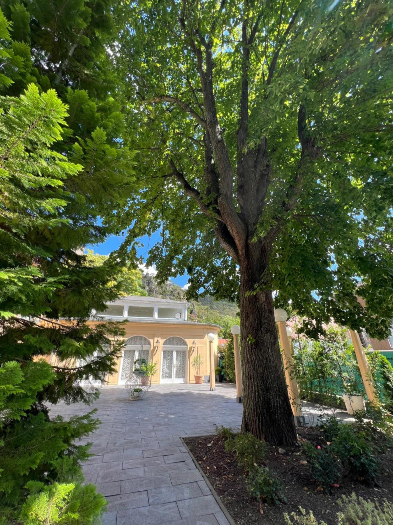 Wienerwald Residenz Baden Exteriér fotografie